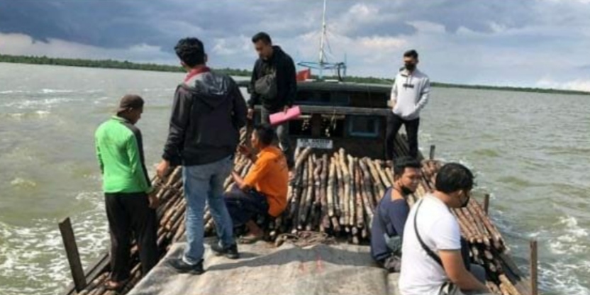 Satreskrim Polres Meranti Berhasil Amankan 3200 Batang Kayu Bakau