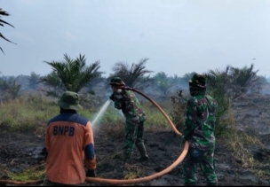 Babinsa Koramil 01/Rengat Kodim 0302/Inhu Berjibaku Padamkan Karhutla Di Desa Sungai Guntung Hilir