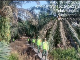 Kelestarian lingkungan Tetap Selalu Terjaga Maka Perlu Secara Rutin Patroli Dan Sosialisasi Karhutla.