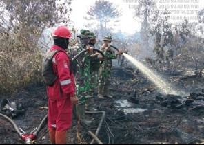 Lakukan Padaman Koramil 01/Rengat Kodim 0302/Inhu Berjimbaku Terjun Langsung Di Desa Sungai Guntung Hilir