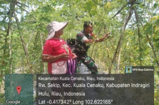 Terus Dukung Program Swasembada Pangan, Babinsa Laksanakan Komsos Dengan Petani Pare