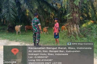 Memang PMK Sudah Berkurang Namun Babinsa Koramil 01/Rengat Tetap Melaksanakan Kegiatan Sosialisasi