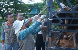 Sambut Hari Raya Idul Adha 1447 H, Pemerintah Kabupaten Asahan Gelar Pemeriksaan Kesehatan Hewan Qurban