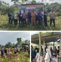 Perkuat Ketahanan Pangan Melalui Jagung Pipil Polres Inhu Kolarasi Dengan Usdes