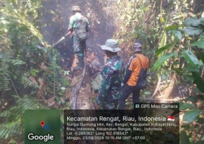 Pantang Menyerah Babinsa Koramil 01/Rengat Padamkan Karhutla di Desa Sungai Guntung Hilir