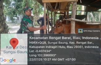 Mencegah PMK Babinsa Koramil 01/Rengat Kopda SY.E.Hasibuan Tinjau Ternak Hingga Kandang