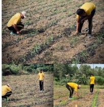 Bersama BUMN Dan Kelompok Tani Polres Inhu Dukung Ketahanan Pangan Nasional Dengan Jagung Pipil