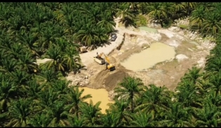 HGU Diduga Kedaluwarsa, Galian C Disorot Di Tengah Kebun Sawit PT Socfindo Desa Padang Pulau — Pemkab Asahan dan DPRD Dituntut Transparan!