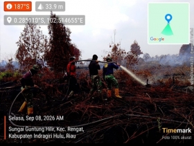 Koramil 01/Rengat Turunkan Babinsa Padamkan Karhutla di Sungai Guntung Hilir