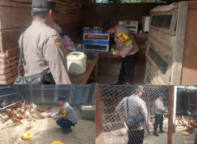 Polsek Lirik Hadir di Tengah Sambang Masyarakat, Perkuat Ketahanan Pangan dari Tingkat Desa Ternak Ayam KUB