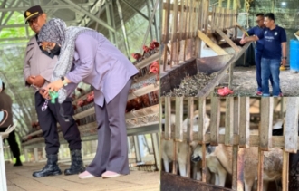Terus Lakukan Komitmen Polsek Lirik Tinjau Perkembangan Ternak Domba Di Desa Lubuk Tigo Sebagai Bukti