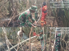 Gerak Cepat, Babinsa Koramil 01/Rengat Padamkan Kebakaran Lahan