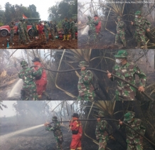 Dandim 0302/Inhu Turunkan Personel Lakukan Pemadaman Karhutla Di Desa Sei Guntung Hilir, Diharapkan Tingkatkan Kesiapsiagaan