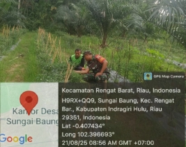 Sukseskan Gerakan Hanpangan Babinsa Koramil 01 /Rengat Komsos Dengan Petani Cabe Di Desa Binaan