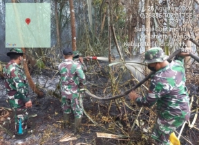 Babinsa Koramil 01/Rengat Bersama Warga Padamkan Lahan Terbakar di Desa Sungai Guntung Hilir