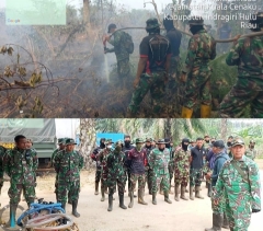 Babinsa Koramil 01/Rengat Sigap Padamkan Karhutla di Desa Pulau Jum'at