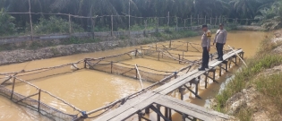 Dukung Ketahanan Pangan, Polsek Lirik Tinjau Budidaya Ikan Lele dan Gurami Warga Desa Seluti Jaya