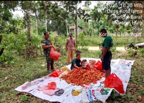 Bantu Panen Rambutan Babinsa Desa Kota lama Sambangi Warga Binaan Bantu Manen