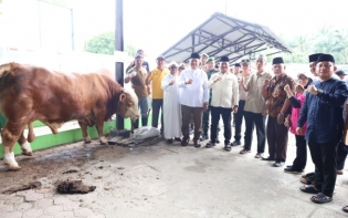 Penyembelihan Sapi Bantuan Kemasyarakatan Presiden RI Di Air Batu Kabupaten Asahan