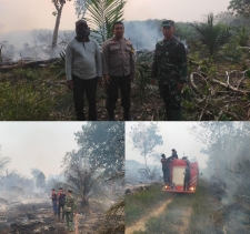 Tim Gabungan Padamkan Karhutla di Desa Pembatang, Luas Lahan Terbakar Sekitar 0,25 Hektare