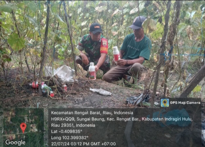 Dampingi Petani Babinsa Koramil 01/Rengat Lakukan  Penyemprotan Pestisida  Tanaman Gambas.