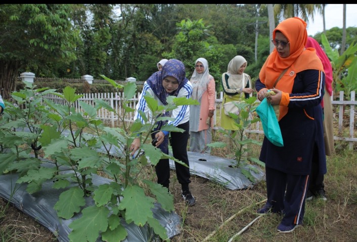 Ketua PKK Asahan Panen Hasil Pemanfaatan Lahan Di 2 Lokasi Hatinya PKK