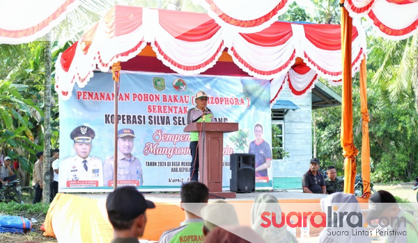 Bupati Meranti Ikut Penanaman 2000 Bibit Mangrove Didesa Mekong