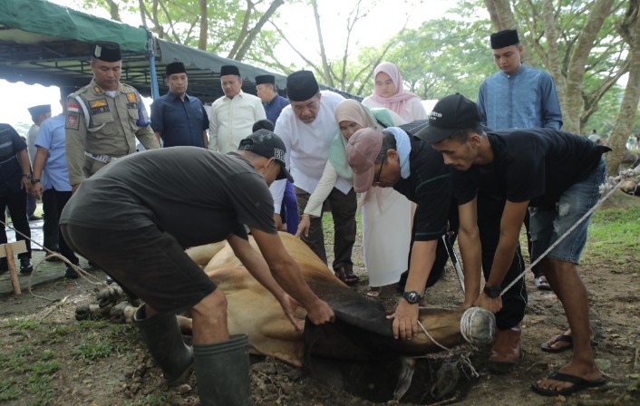 Hari Raya Idul Adha 1447 H, Pemkab Asahan Sembelih 101 Hewan Qurban