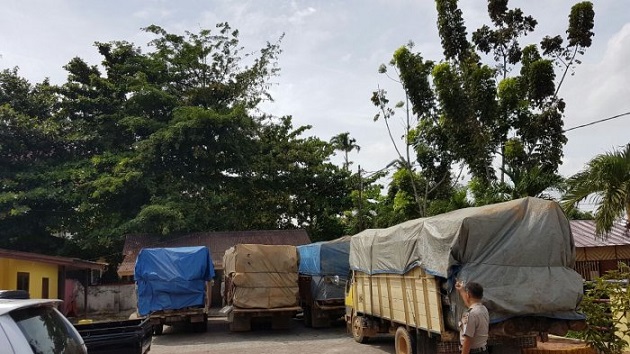 Ditreskrimsus Polda Amankan 6 Truk Berisi 48 Meter Kubik Kayu Ilegal