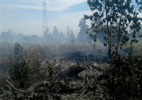 Tim Turunkan Water Bombing di Wilayah Pekanbaru