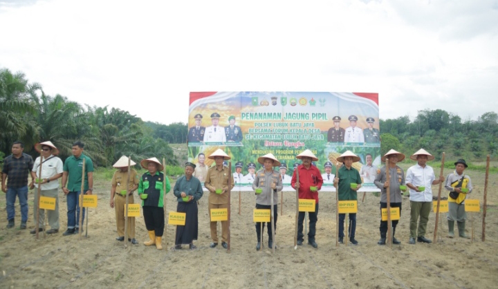 Dukung Swasembada Pangan Wakapolres Inhu Tanam 10 HA Jagung Pipil LBJ