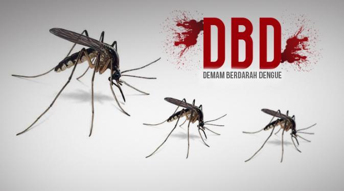 Terus Meningkat, Kasus DBD Pekanbaru Telan 99 Penderita