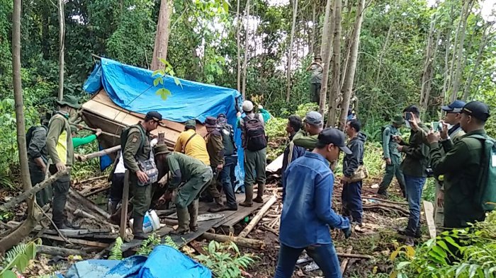 Petugas Bakar Kayu Illog dan Gubuk Perambah di Giam Siak Kecil