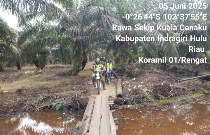 Babinsa Koramil 01/Rengat Lakukan Patroli Ke Desa Rawa Sekip Kecamatan Regah Untuk Cegah Karhutla