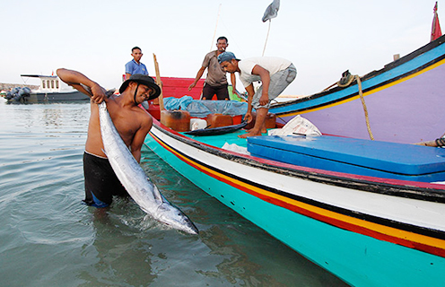 Cegah Eksploitasi, Nelayan Minta Pemerintah Perketat Laporan Penangkapan Ikan