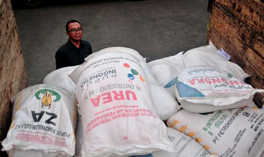 Sudah Efektifkah Subsidi Pupuk Rp 30 T/Tahun untuk Petani?