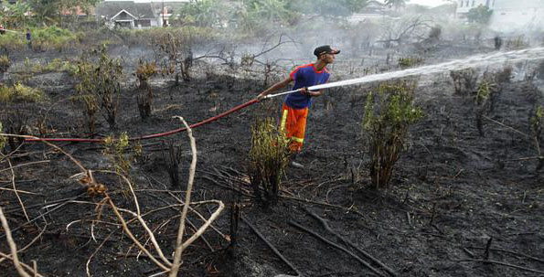 Enam Provinsi Ini Berstatus Siaga Darurat Kebakaran Hutan, Termasuk Riau