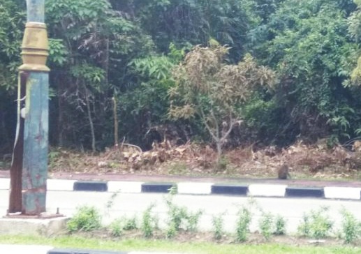 DPRD Siak Minta Kejelasan Lahan di Jalan Raja Kecik