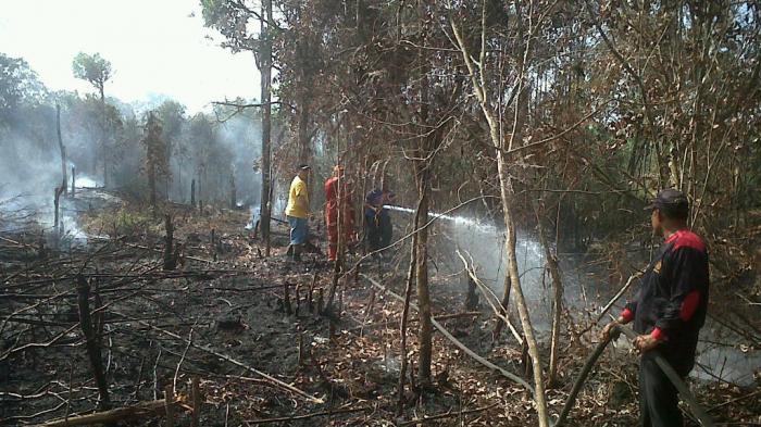 Polres Kampar Selidiki Penyebab Karlahut di Karya Indah dan Ridan