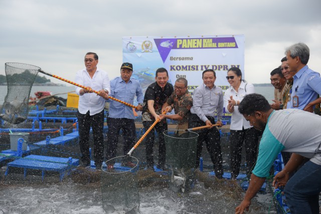 Nelayan Kepulauan Riau Kekurangan Benih Ikan