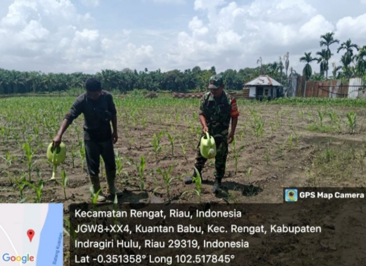 Danramil Ingatkan Babinsa Agar Rutin Lakukan Pendampingan Ke Petani Wilayah Binaan