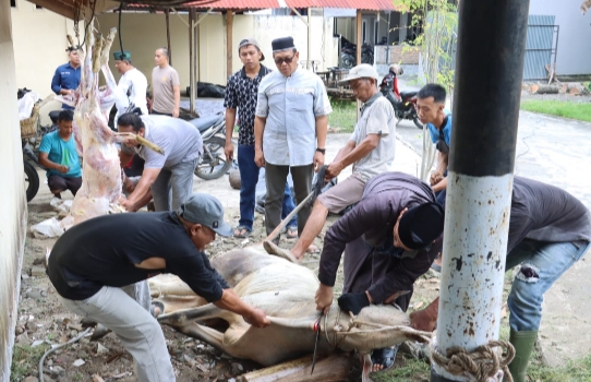 Idul Adha, Polres Tebing Tinggi Sembelih 34 Ekor Hewan Ternak