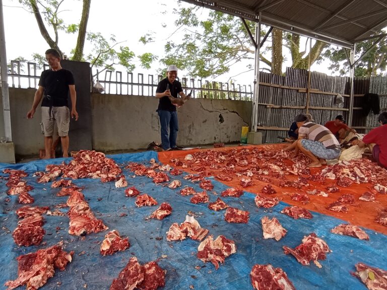 SMKN 1 Rejang Lebong Kembali Melaksanakan Pemotongan Hewan Kurban