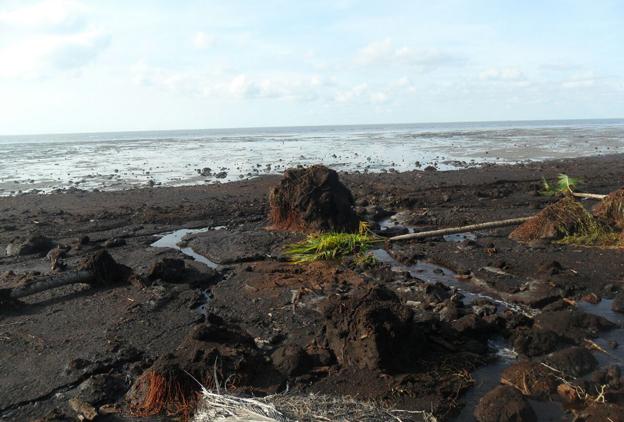 Abrasi di Pulau Rangsang Makin Parah