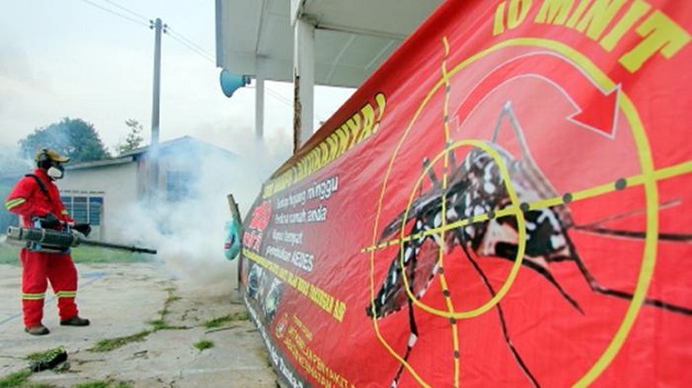 Kasus Meningkat, DPRD Pekanbaru Minta Diskes Serius Atasi DBD