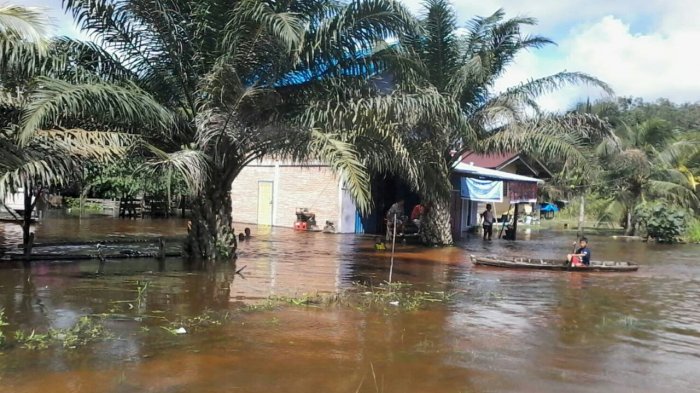 Pemda Pelalawan Tetapkan Status Siaga Darurat Banjir