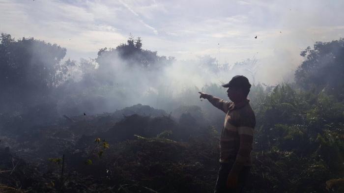 Diduga Disengaja, Lahan Kosong Dua Hektar ‎Terbakar