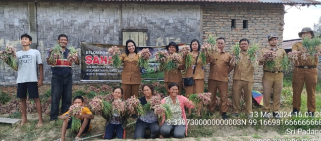 Pemko Tebingtinggi Apresiasi  Kelompok Tani Sahata Berhasil Panen Raya Bawang Merah