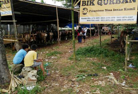 Ketika Berkurban, Ini Bisa Dipelajari Anak