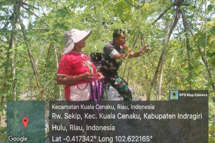 Terus Dukung Program Swasembada Pangan, Babinsa Laksanakan Komsos Dengan Petani Pare